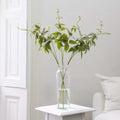 Persicaria White