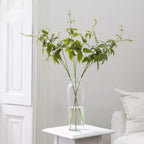 Persicaria White