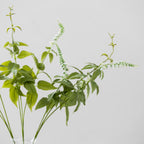 Persicaria White