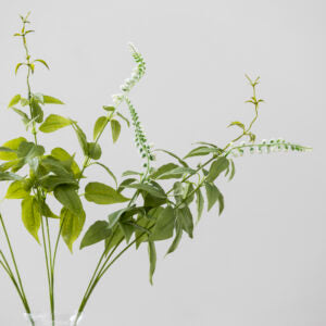 Persicaria White