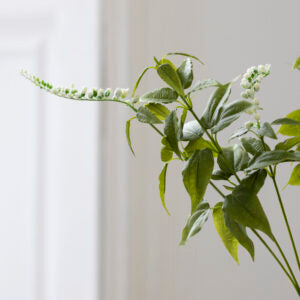 Persicaria White