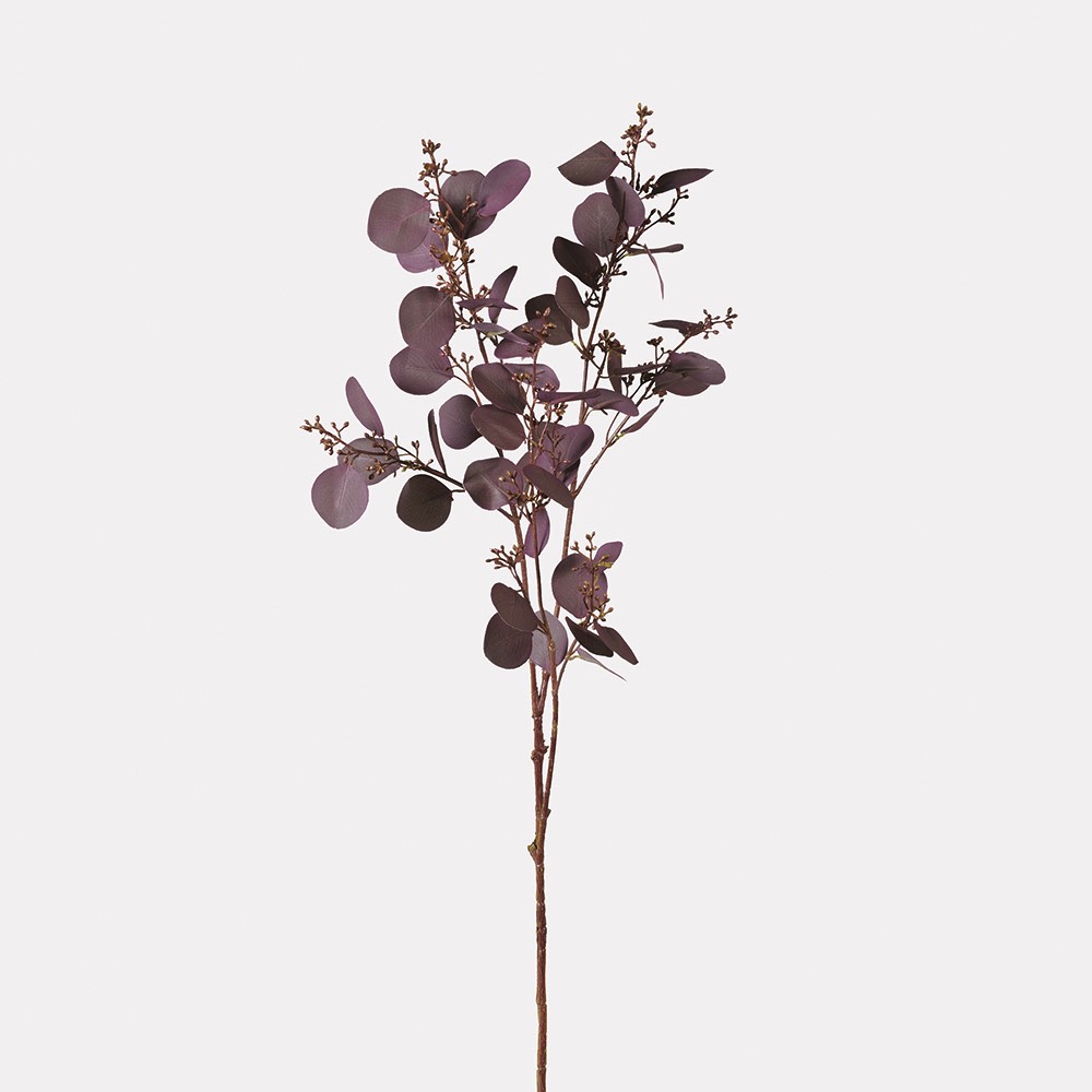 Large Deep Aubergine Eucalyptus Spray with Seeds