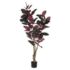 Dark Leaf Magnolia Tree