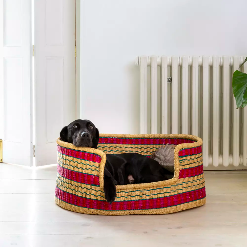 Roxy Dog Beds