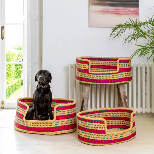 Roxy Dog Beds