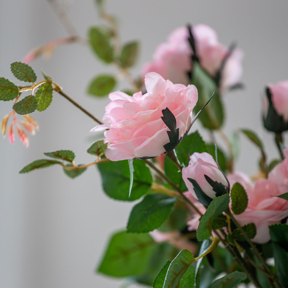 Rose Spray in Soft Pink