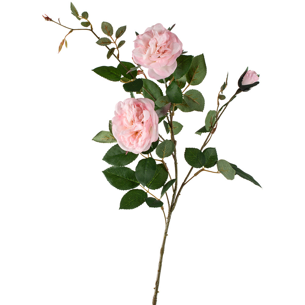 Rose Spray in Soft Pink